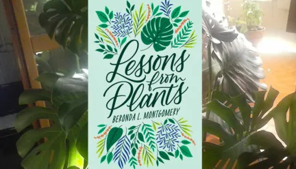 Lessons from Plants poster