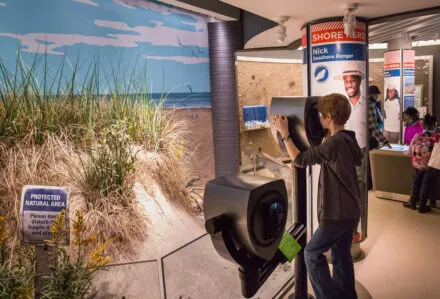 Photo of Living Seashore Gallery at the National Aquarium, Baltimore