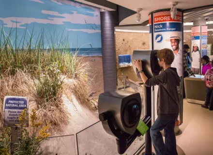 Photo of Living Seashore Gallery at the National Aquarium, Baltimore