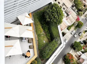 Photo of roof garden in Lima, Peru, by firm Paisaje Vivo