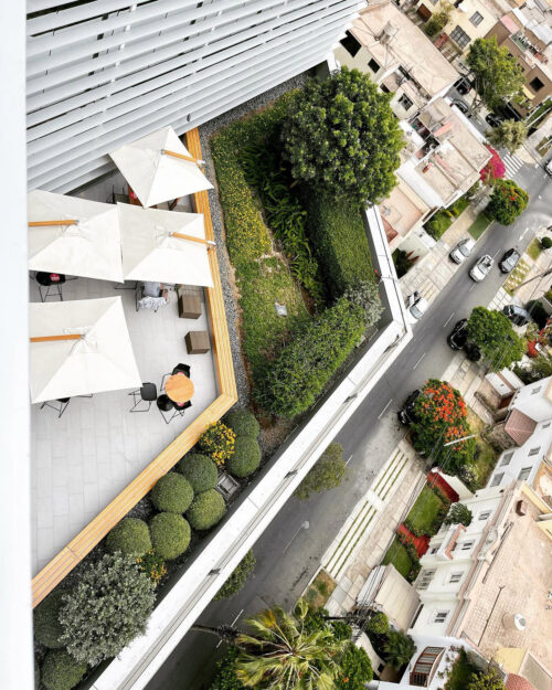 Photo of roof garden in Lima, Peru, by firm Paisaje Vivo