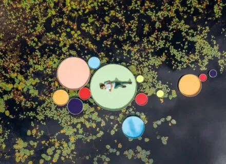 Photo of Lily Project (2021) by Jaemee Studio