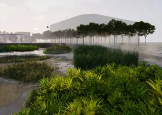 Digital drawing showing a wetland area with grasses in the foreground, misty trees in the middle ground, and buildings behind.