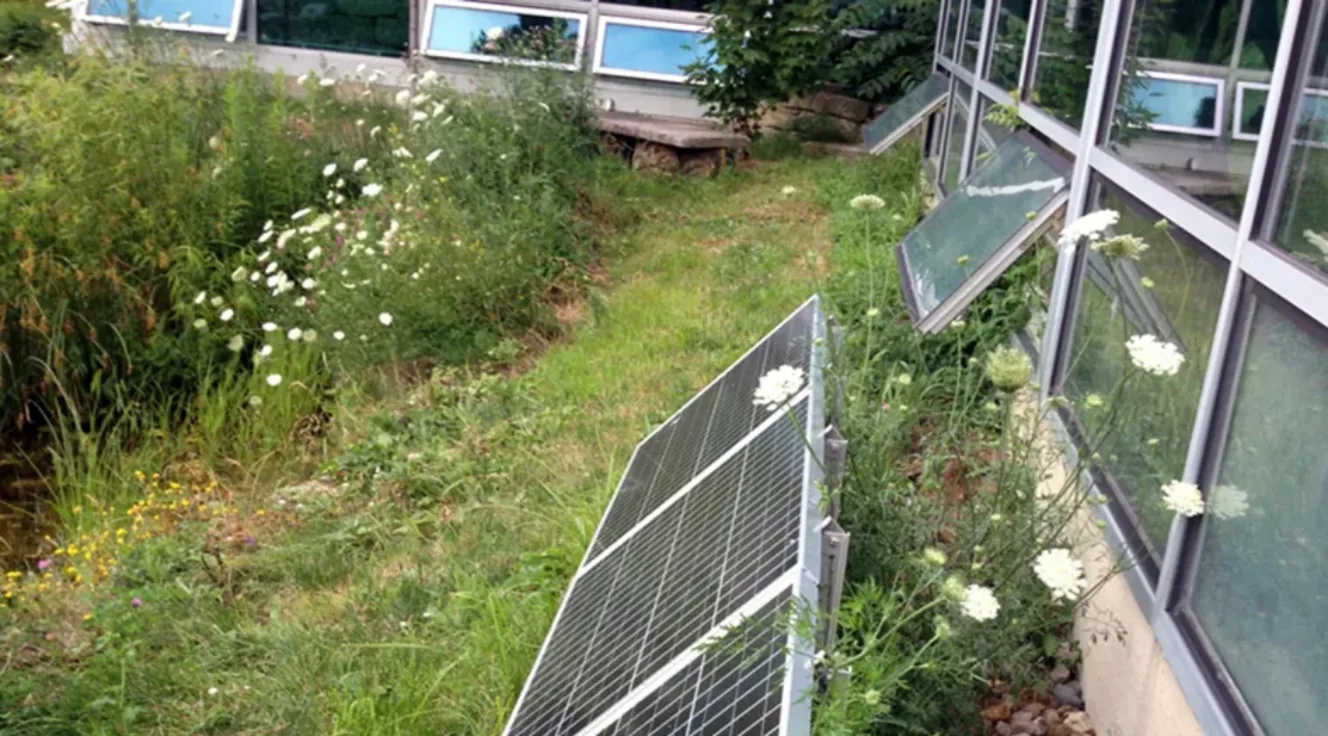 View of plants, a solar panel, and awning windows of a building