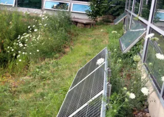 View of plants, a solar panel, and awning windows of a building