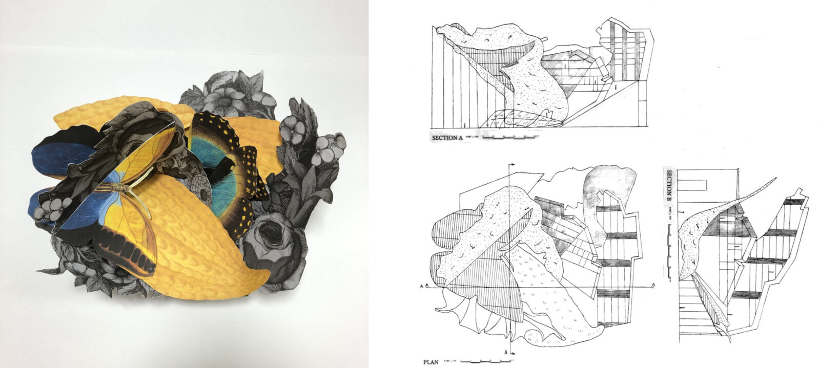 Collage model and drawings by Momoko Omori