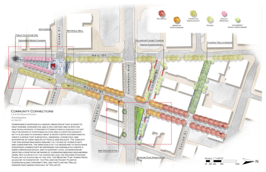 Plan of project “Hybridize - Downtown Champaign Development