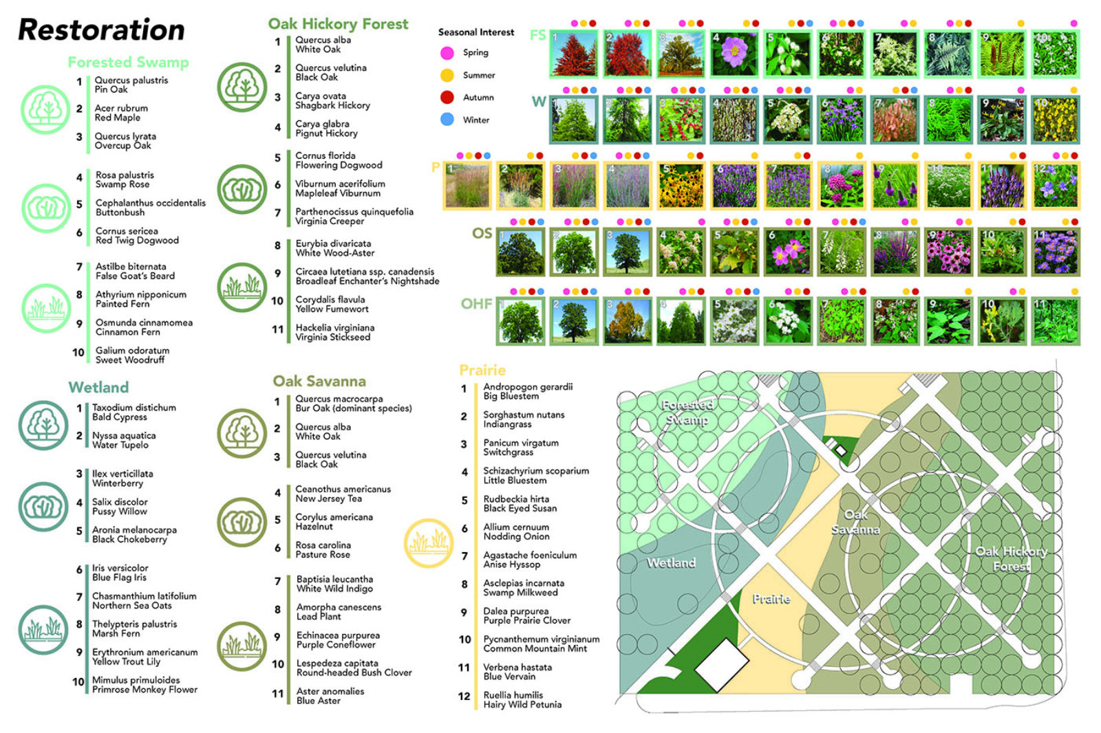 Plant selection and plan for Restoration aspect of 