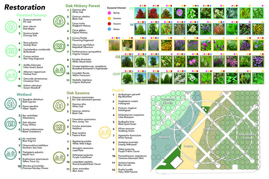 Plant selection and plan for Restoration aspect of 