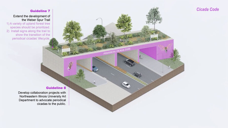 Guidelines for overpass trail in 