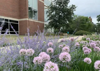 Photo of the Sofia T Soudavanh Garden seen from the northwest with Temple Buell Hall behind.