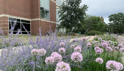 Photo of the Sofia T Soudavanh Garden seen from the northwest with Temple Buell Hall behind.