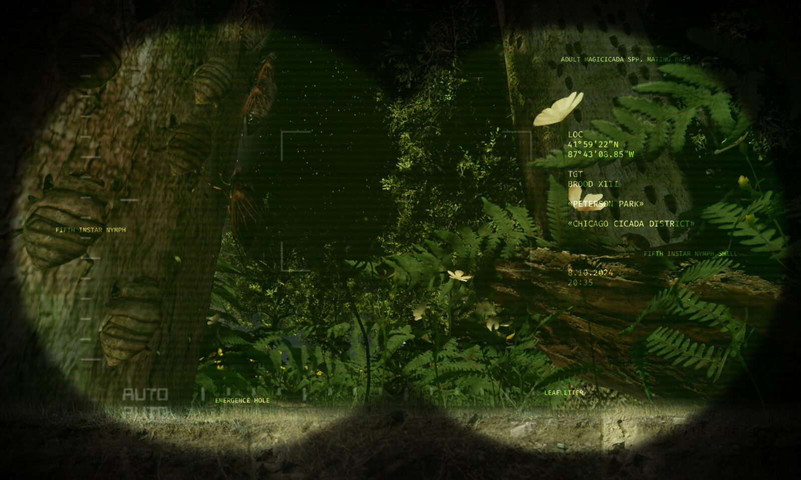 Graphic of night vision scene with data, representing the Cicada Code project