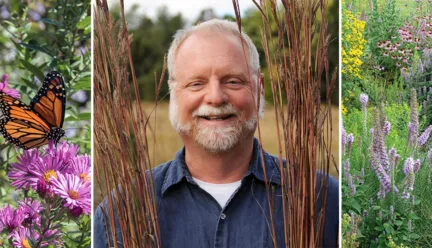 Photo of Neil Diboll and two photos of prairie gardens