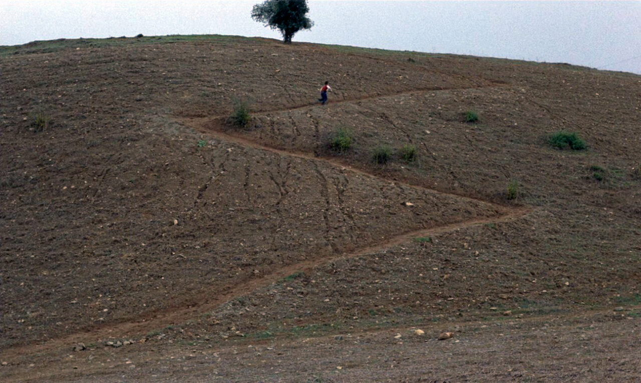 Still showing a hill with a zigzag path and a tree at the top from the film Where is the Friend's House