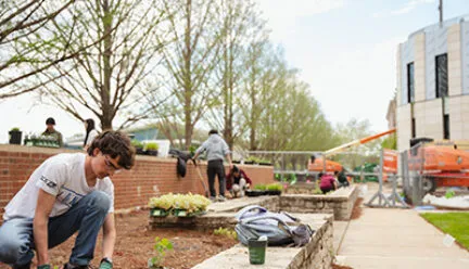 people outdoors gardening