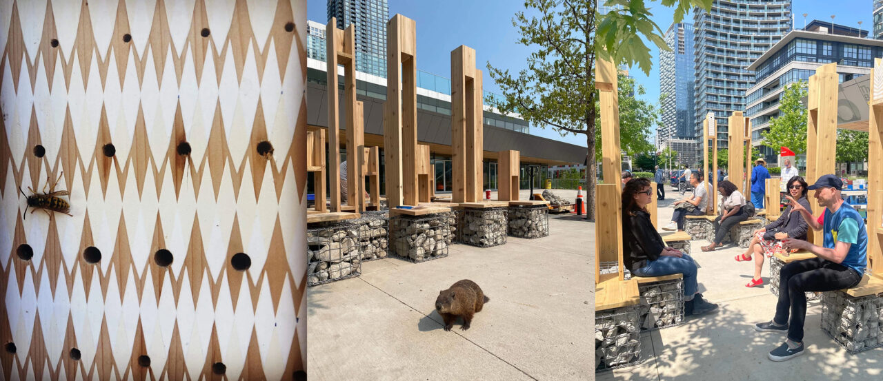 Views of a bee, a groundhog, and people at Multispecies Lounge (Toronto, Canada, 2023)