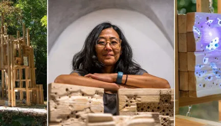 Headshot of Joyce Hwang