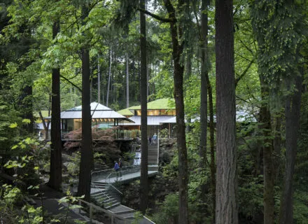 Photograph of the Cultural Crossing at the Portland Japanese Garden, as seen through trees