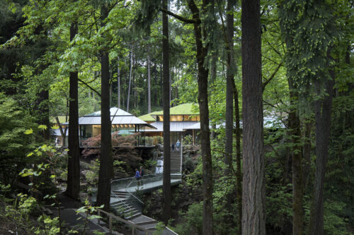Photograph of the Cultural Crossing at the Portland Japanese Garden, as seen through trees