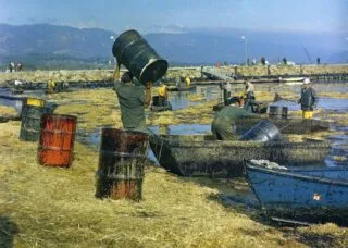 people cleaning up an oil spill on very polluted waters