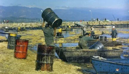 people cleaning up an oil spill on very polluted waters