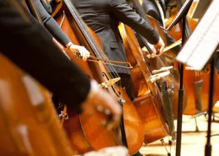 Cello