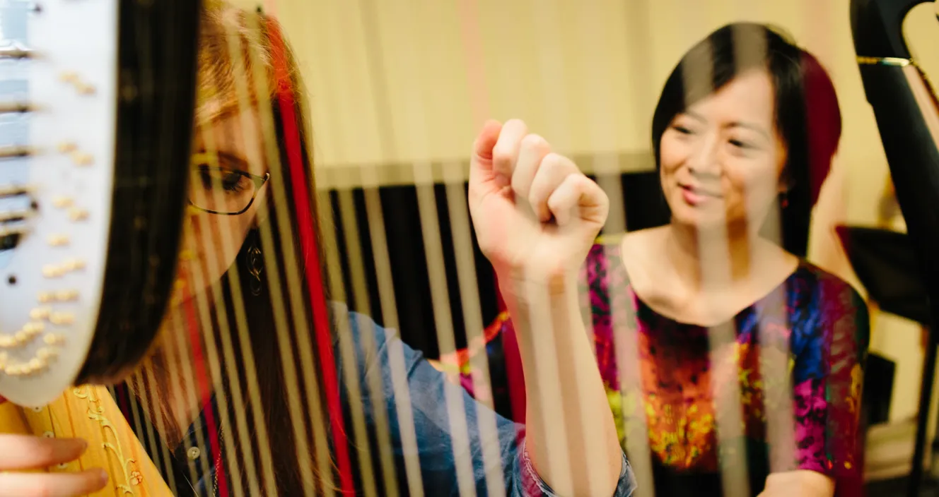 Illinois Summer Harp Class