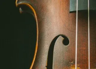 string instrument