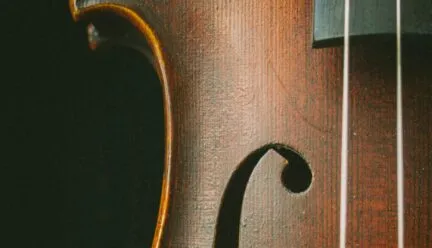 Violin