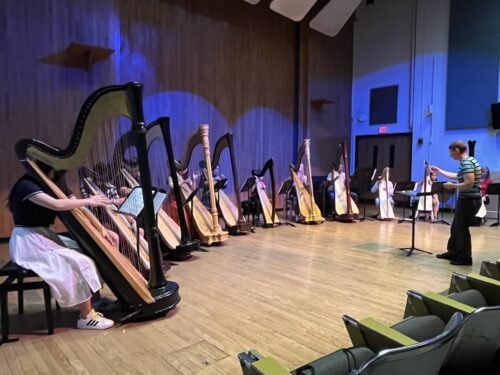 Illinois Harp Jam 2025