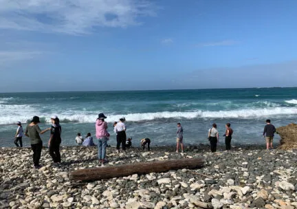 many people on a beach