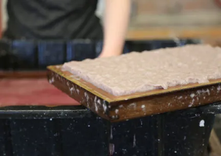 wet paper pulp on a tray in paper making process