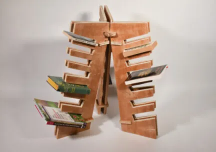 Unique bookshelf design