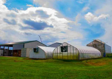 green houses on sunny day with blue skies