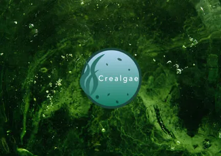 aqua circle with the words crealgae on top and with seaweed surrounding the circle