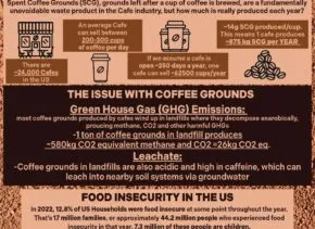 project poster in various shades of brown and yellow