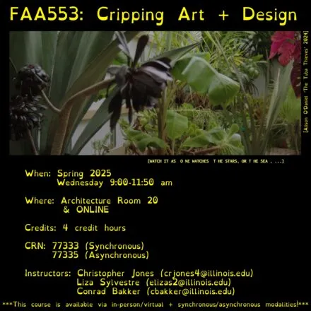 image of flowers and graphic with text in post