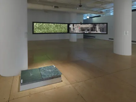large art gallery space with white walls and light wood flooring. two digital screens projecting images of grass and statues