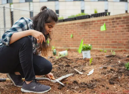 person kneeling and gardening