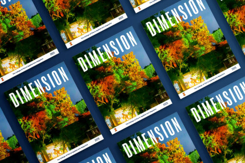 several copies of dimension magazine fanned out