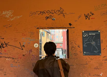 bologna city orange view