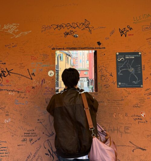 bologna city orange view