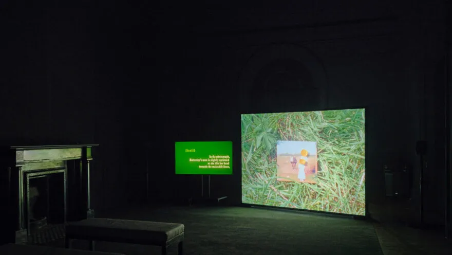 a dark gallery with screens showing green grasss surrounding a photograph and a green screen with text