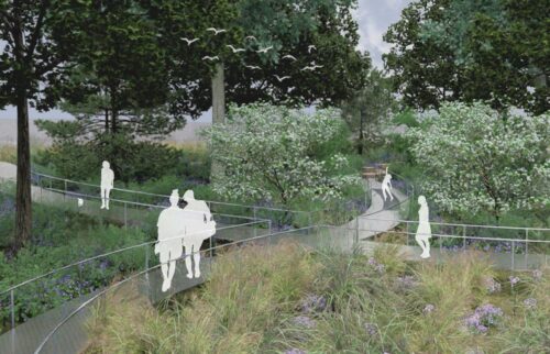 design rendering of outdoor park space