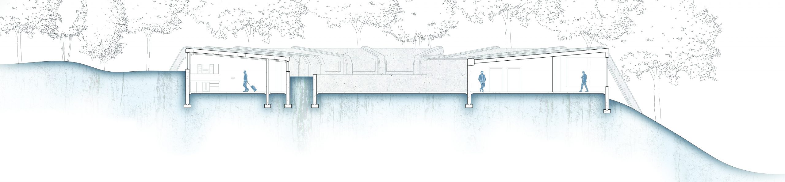 section