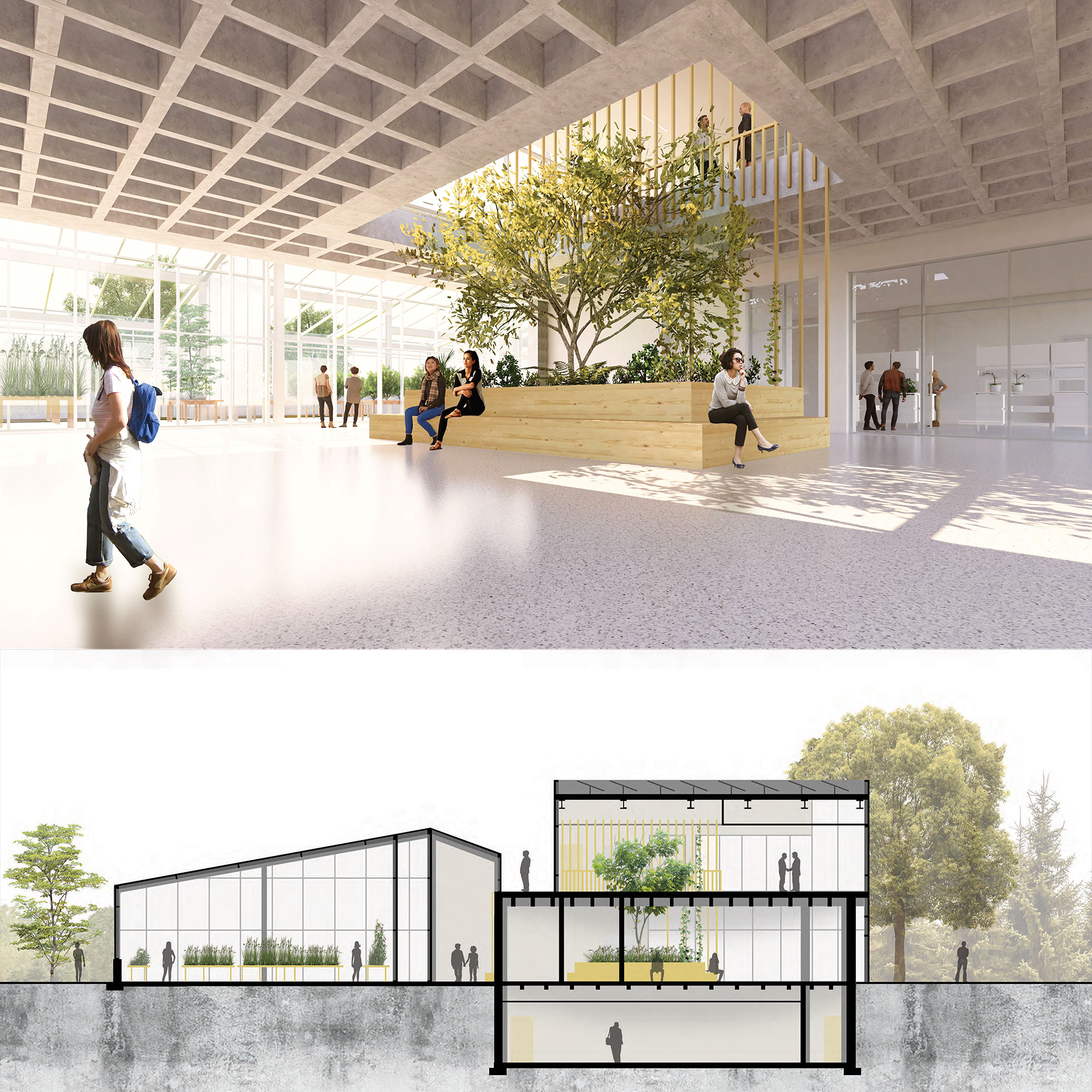 Interior rendering and section