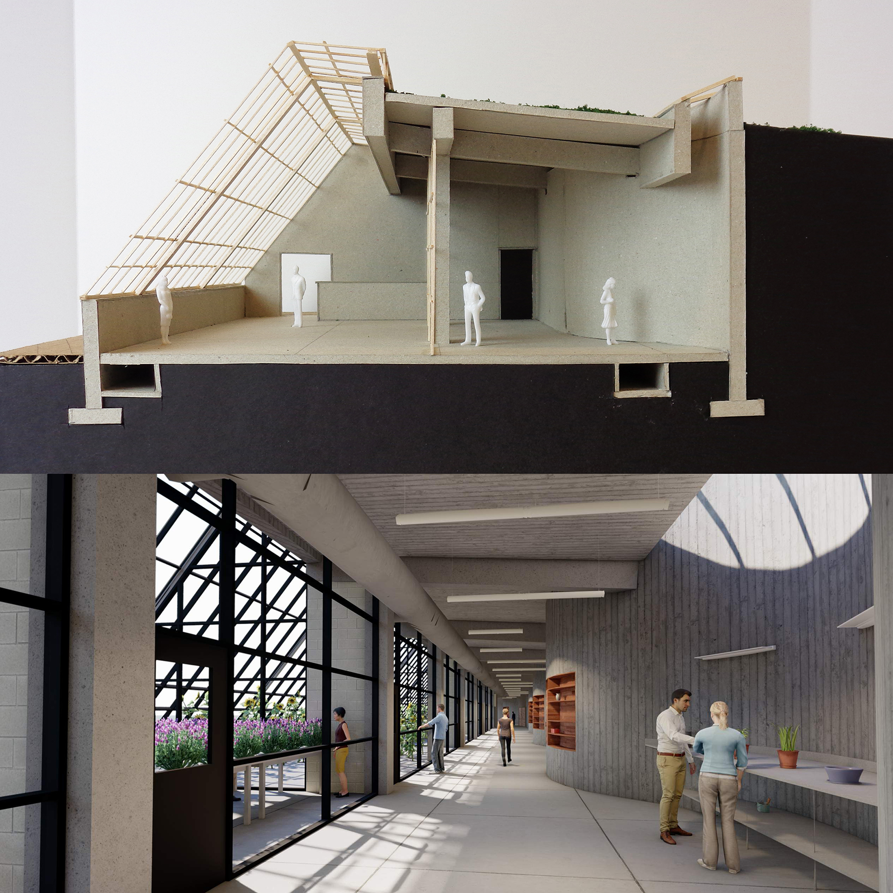 Physical model and rendering