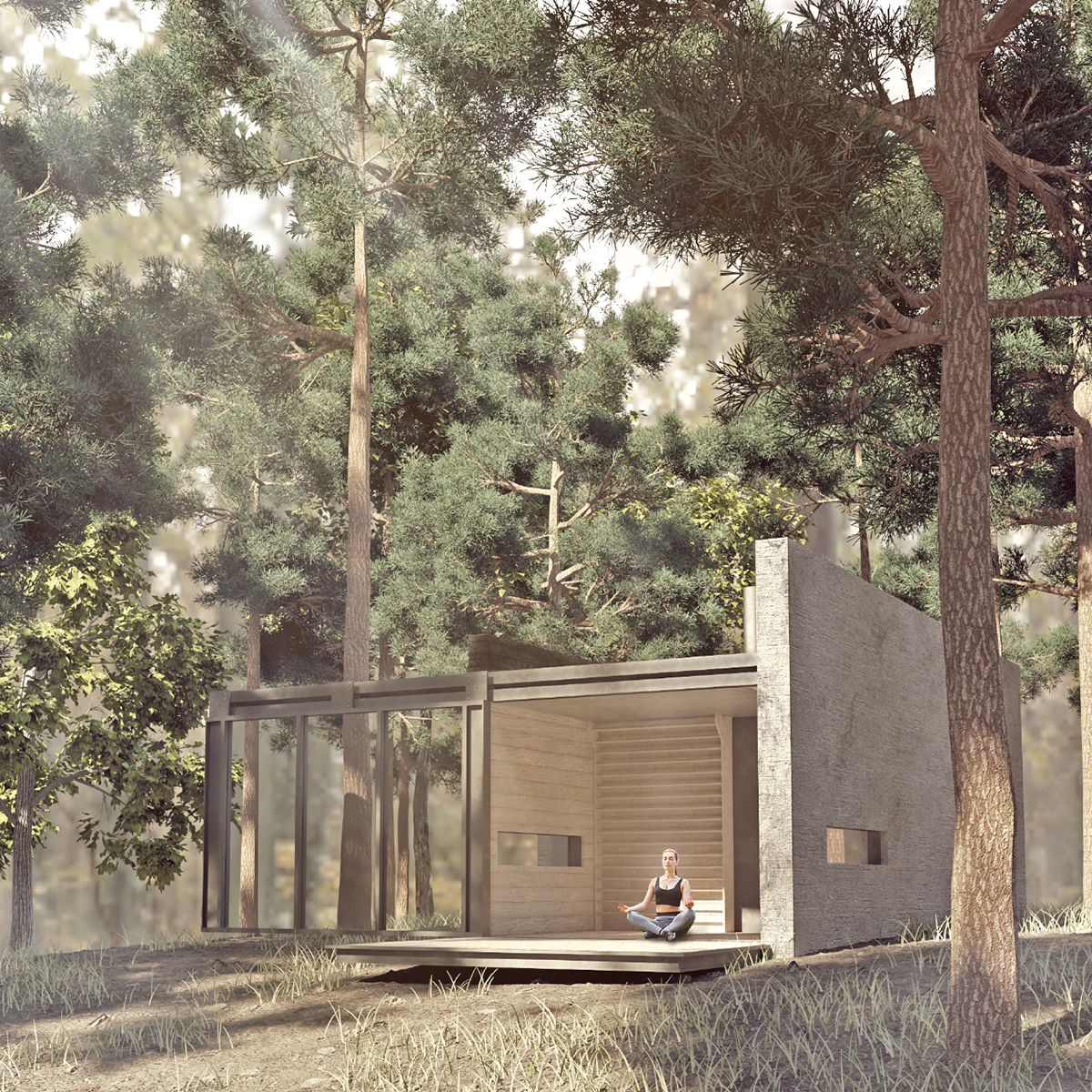 exterior rendering with stone wall and glass