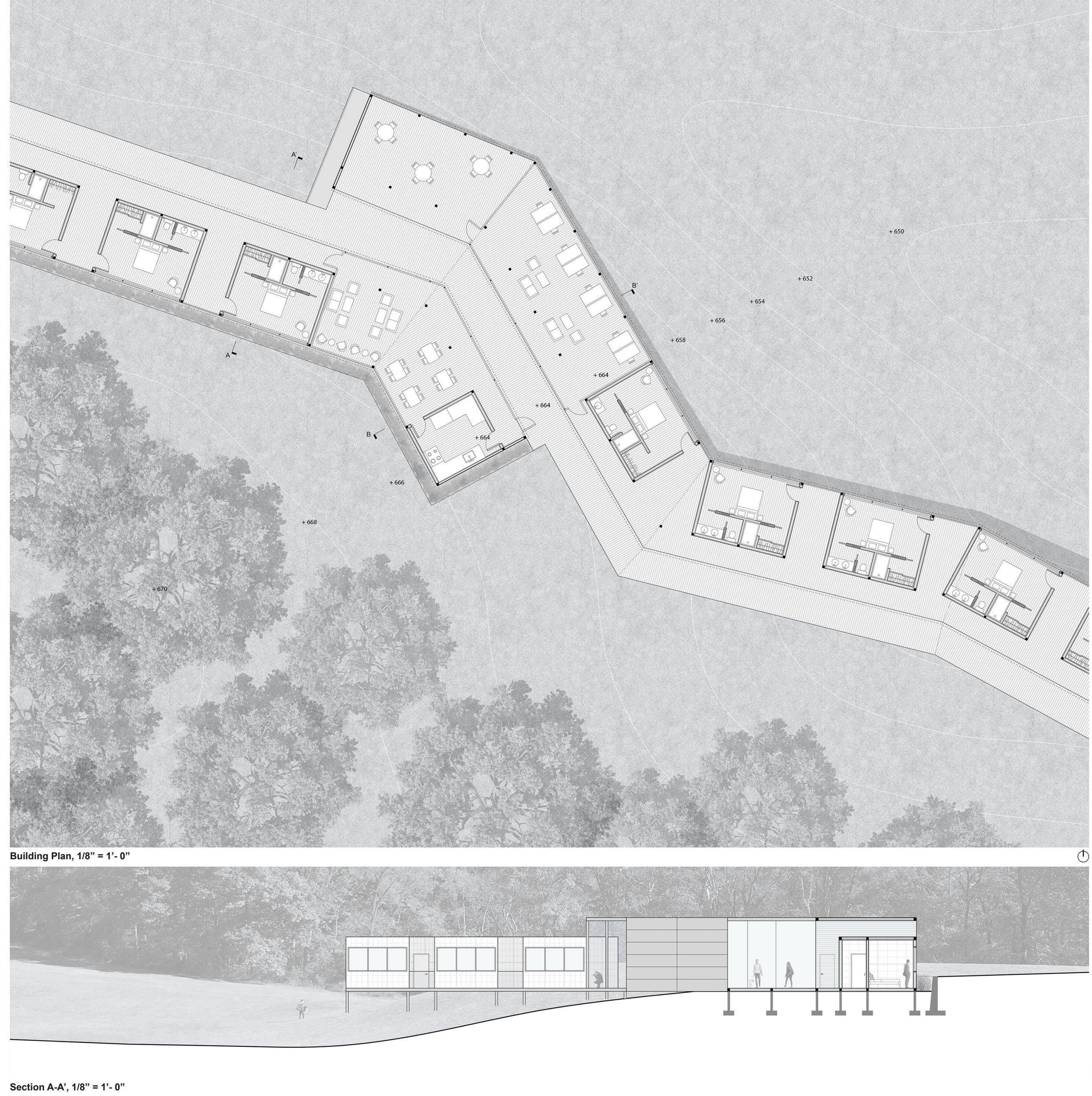 plan and section